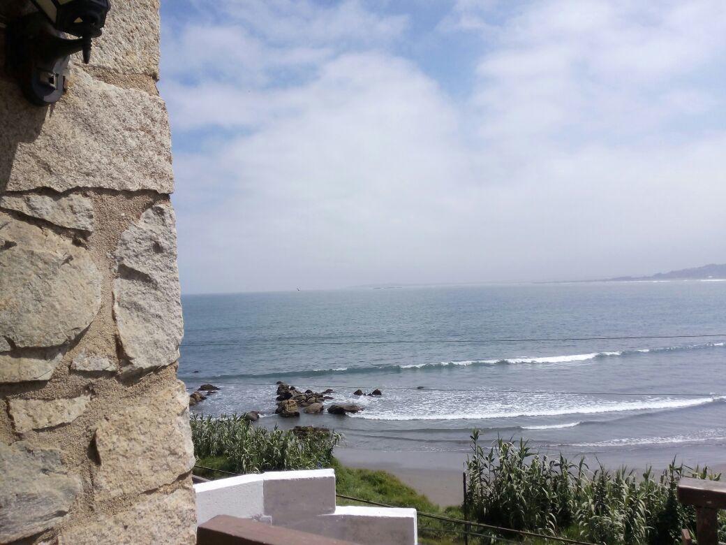 Pinguino En La Roca - Lodge Vina del Mar Exterior foto
